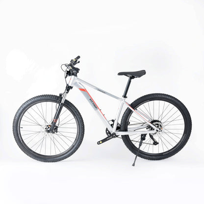 Niner 29T - Silver Red