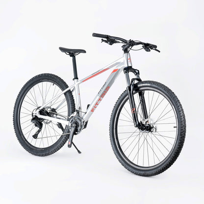 Niner 29T - Silver Red